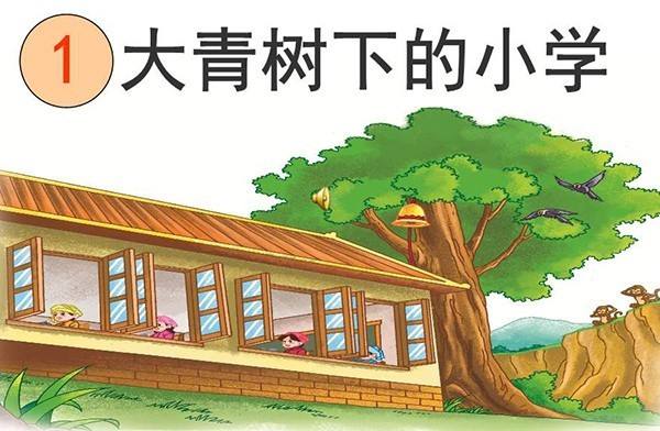 大青树下的小学(大青树下的小学有哪些特别的地方)